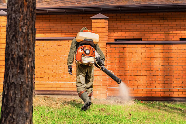 Trusted Termite Control service in Cheney, WA - Nex Pest Control